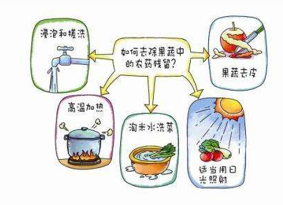 如何減少農(nóng)藥污染去除農(nóng)藥殘留?振華化工總結(jié)以下幾點(diǎn)分享給大家